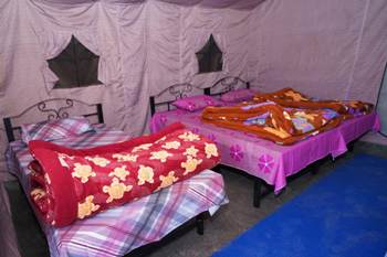 ahivpuri-luxury-camp